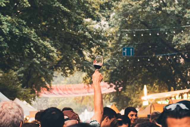 Festivals & Concerts